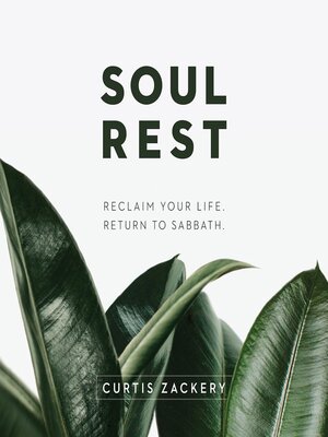 cover image of Soul Rest